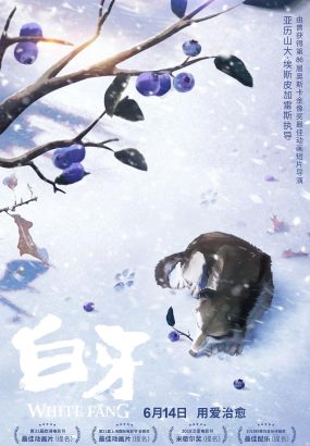 白牙 White.Fang.2018.1080p.FRA.BluRay.AVC.DTS-HD.MA.5.1 [BDISO 35.7GB]