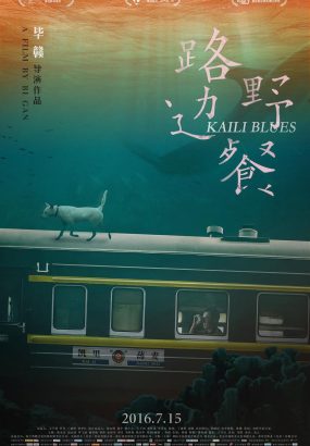 路边野餐 Kaili.Blues.2016.Blu-Ray.1080p.AVC.DTS-HD.MA.2.0 [BDISO 39.24GB]