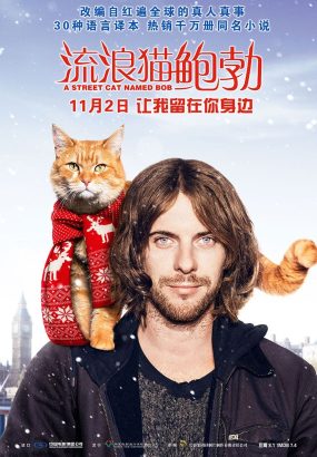 流浪猫鲍勃 A.Street.Cat.Named.Bob.2016.1080p.EUR.Blu-ray.AVC.DTS-HD.MA.5.1 [BDISO 30.94GB]