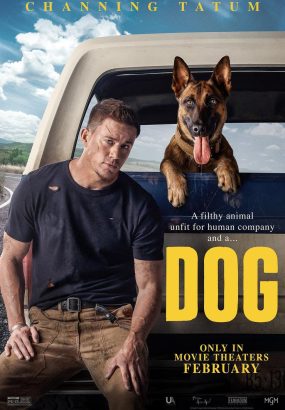 忠犬 Dog.2022.1080p.BluRay.AVC.DTS-HD.MA.5.1 [BDMV 21.06GB]