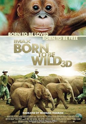 天生狂野 3D.IMAX.Born.to.Be.Wild.2011.Blu-ray.3D.CEE.1080p.AVC.DTS-HD.5.1 [BDISO 28.43GB]